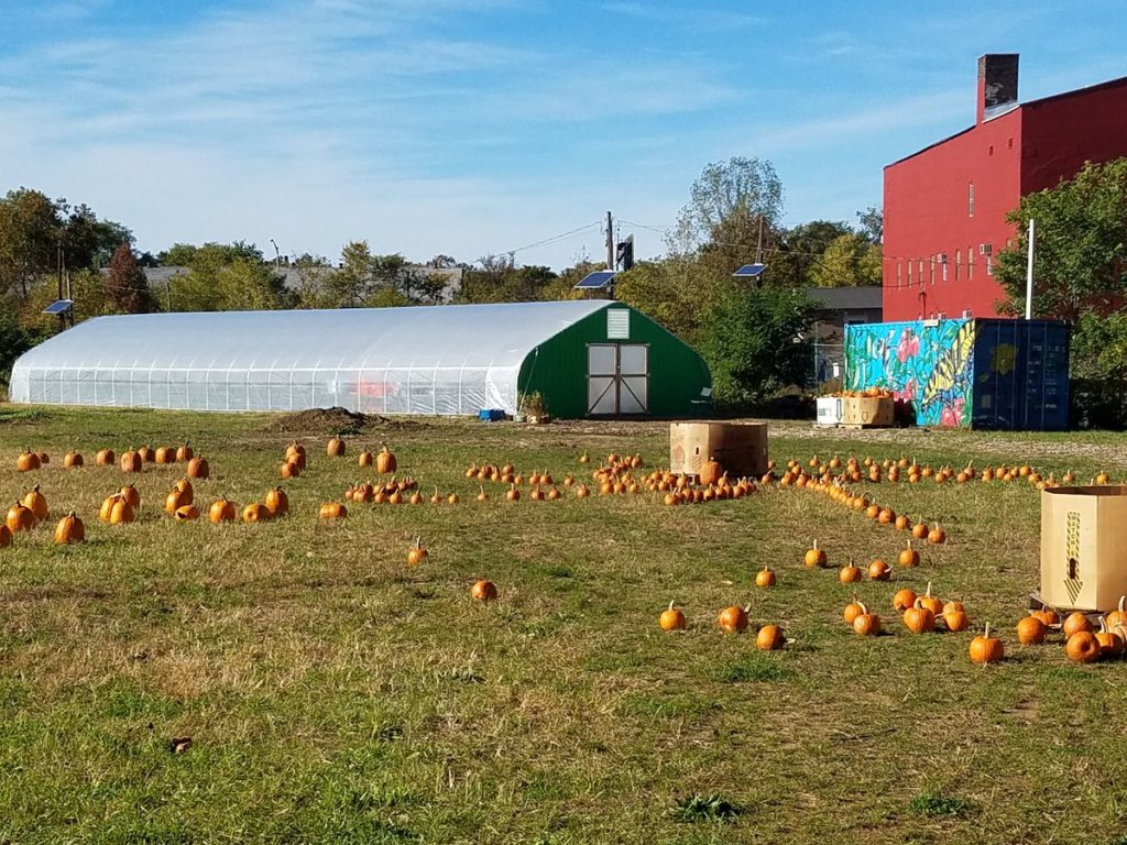 Capital City Farm Breaking Ground for Trenton The Streetlight